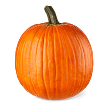 Load image into Gallery viewer, Pumpkins
